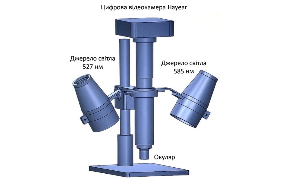 Instrument for Studying the Oxygen Transport in Capillaries